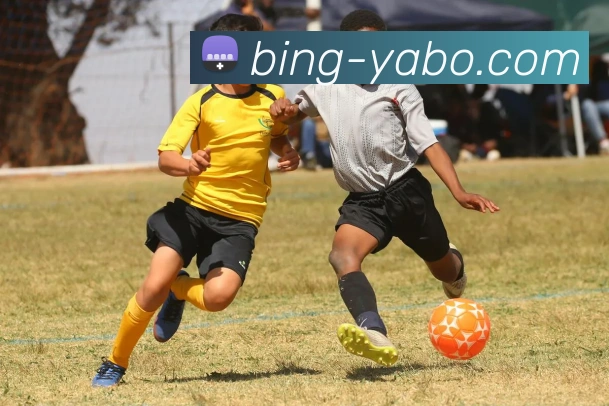 亚博体育发展历程